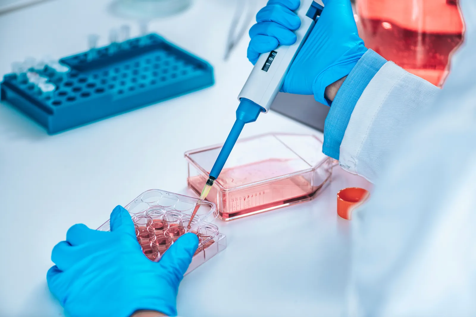 Biotechnology female researcher in laboratory working with cell culture