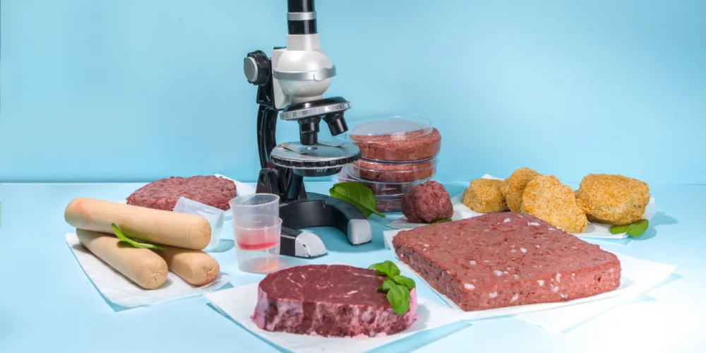 Lab-grown meat: From pet food to your plate?